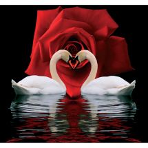 Kit ricamo diamante - Diamond Painting - Coppia di cigni