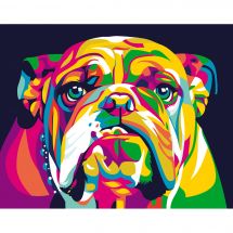 Kit di pittura per numero - Wizardi - Bulldog inglese arcobaleno