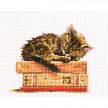 Kit Punto Croce - RTO - Gattino che sogna