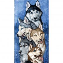 Kit ricamo diamante - Collection d'Art - Squadra Huskies