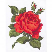Canovaccio antico - Collection d'Art - Rose rosa