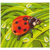 kit ricamo a punto croce - Collection d'Art - Coccinella