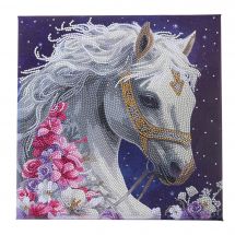 Kit ricamo diamante su telaio - Crystal Art D.I.Y - Bellezza mistica