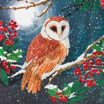 Carta con ricamo a diamante - Crystal Art D.I.Y - Gufo nella notte