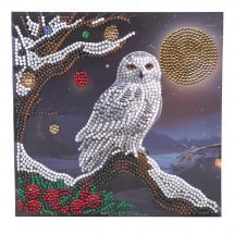 Carta con ricamo a diamante - Crystal Art D.I.Y - Luna di ghiaccio