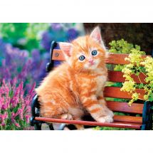 puzzle - Castorland - Gatto rosso - 500 pezzi