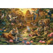 puzzle - Castorland - Paradiso delle tigri - 1000 pezzi