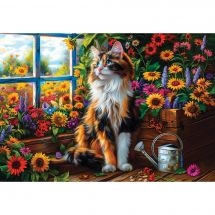 puzzle - Castorland - Meditazione per gatti - 1000 pezzi