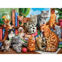 puzzle - Castorland - Casa dei gatti - 2000 pezzi