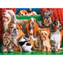 puzzle - Castorland - Kennel Club - 3000 pezzi