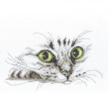 Kit Punto Croce - Charivna Mit - Sguardo di gatto