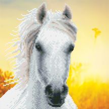 Kit ricamo diamante - Diamond Art - Cavallo bianco