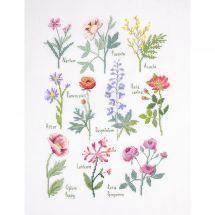 kit ricamo a punto croce - DMC - Tabella botanica