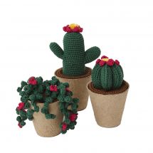 Lotto da uncinare - DMC - Collezione di cactus