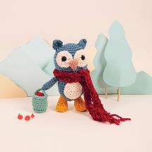 kit di ganci - DMC - Gufo nell'orto