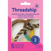 Kit creativo per bambini - DMC - Braccialetto di amicizia - Campagna