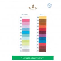 Cartella colori - DMC - 24 nuovi Retor 89 colori