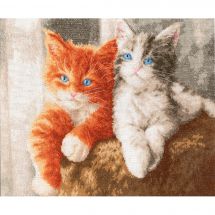 Kit Punto Croce - Toison d'or - Gattini
