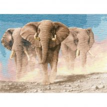 Kit Punto Croce - Toison d'or - Cuore d'Africa