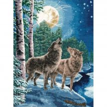 Kit Punto Croce - Toison d'or - Figlio della notte