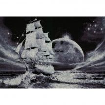 Kit Punto Croce - Toison d'or - Il sentiero della luna