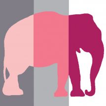 Kit di tela per bambini - Luc Créations - Elefante