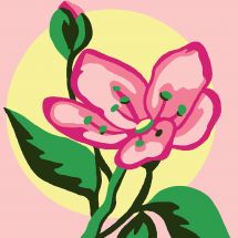 Kit di tela per bambini - Luc Créations - Un bel fiore rosa
