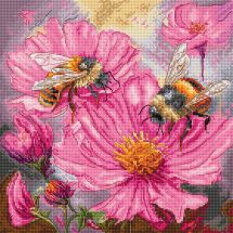 kit ricamo a punto croce - Letistitch - Fiori di miele