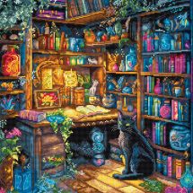 kit ricamo a punto croce - Letistitch - Biblioteca incantata