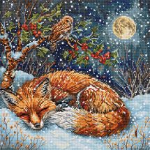 kit ricamo a punto croce - Letistitch - Sogni congelati