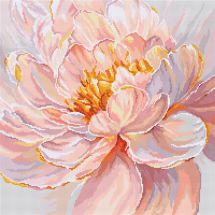 kit ricamo a punto croce - Letistitch - Grazia floreale