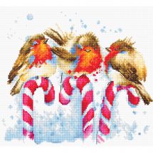 Kit Punto Croce - Luca-S - Uccelli di Natale