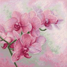 Kit Punto Croce - Luca-S - Orchidea graziosa