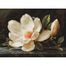 kit ricamo a punto croce - Luca-S - Rugiada di Magnolia
