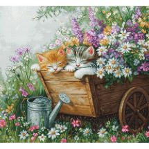 kit ricamo a punto croce - Luca-S - I gattini dormono