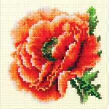 Kit Punto Croce - Magic Needle - Papavero