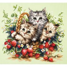 Kit Punto Croce - Magic Needle - Adorabili gattini