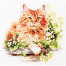 kit ricamo a punto croce - Magic Needle - Il gatto rosso