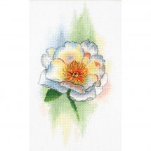 Kit Punto Croce - Aquarelle by MP Studia - Peonia bianca