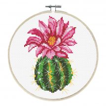 Kit per ricamo a punto croce con tamburo - Ladybird - Cactus rosa