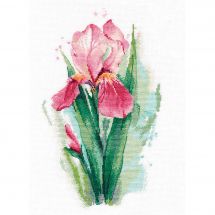 Kit Punto Croce - Oven - Iris rosa