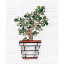 Kit Punto Croce - Oven - Crassula