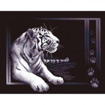 Kit Punto Croce - Panna - Tigre bianco
