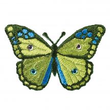 Termoadesiva - Prym - Farfalla verde e blu con strass