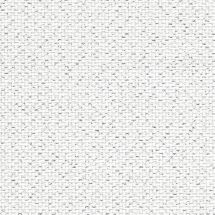 Tela da ricamo - Zweigart - Aïda (17) Star Blanc Métallisé Argent 5.5 en coupon ou au mètre