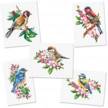 pacchetto creativo per il tempo libero - Luca-S - Set di uccelli da giardino