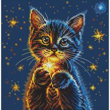 kit ricamo a punto croce - RTO - Le stelle segrete del gattino