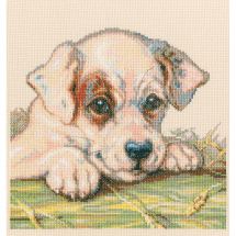 Kit Punto Croce - RTO - Cucciolo