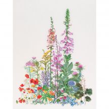 Kit Punto Croce - Thea Gouverneur - Fiori di campo - Lino