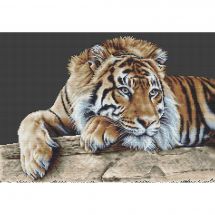 Kit Punto Croce - Thea Gouverneur - Tigre - Aida nera